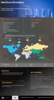 Barium Nitrate Market