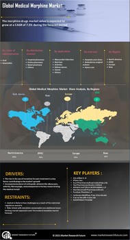 Medical Morphine Market