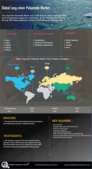 Long-chain Polyamide Market