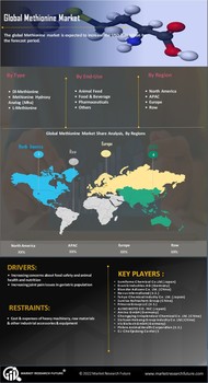 Methionine Market