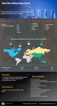 Blow Molding Resins Market