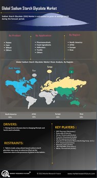 Sodium Starch Glycolate Market
