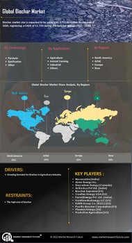 Biochar Market