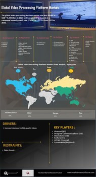 Video Processing Platform Market