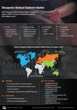 Therapeutic Medical Guide Wire Market