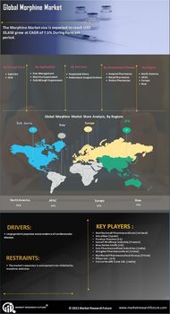 Morphine Market