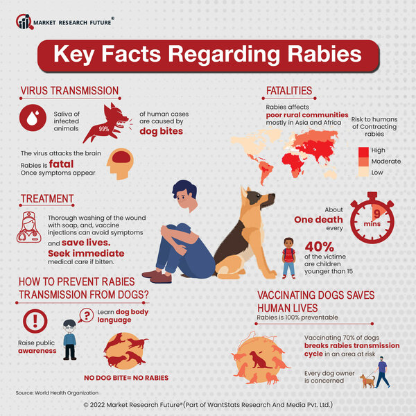 rabies transmission
