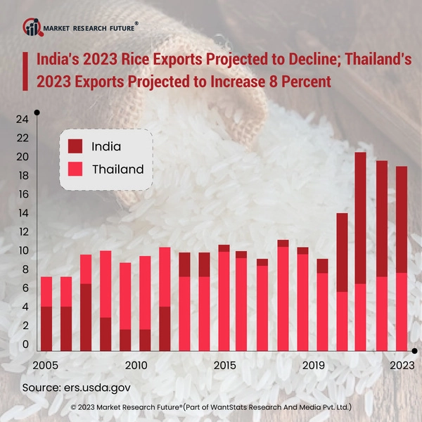 Rice Production Trends in 2023 - News