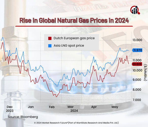 Oil & Gas Market Growth Challenges the Electric Vehicles Market in 2024