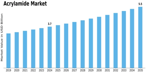 Market Size