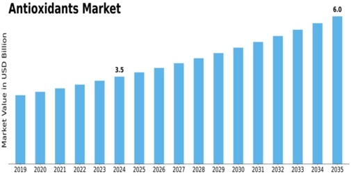 Market Size