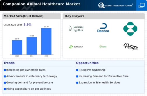 Companion Animal Healthcare Market Research Report- Forecast till 2035 Infographic