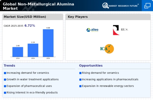 Non-Metallurgical Alumina  Market Research Report—Global Forecast till 2030 Infographic