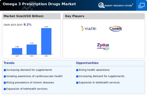 Omega 3 Prescription Drugs Market Research Report 2034 Infographic