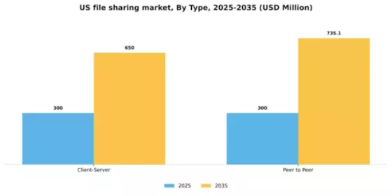 US File Sharing Software Market Segment Image 2