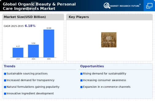 Organic Beauty and Personal Care Ingredients Market Research Report - Global Forecast till 2032 Infographic