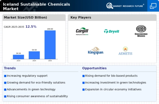 Iceland Sustainable Chemicals Market Research Report - Forecast by 2032 Infographic