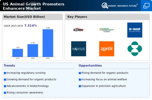 US Animal Growth Promoters Enhancers Market Research Report - Forecast Till 2035 Infographic