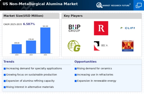 US Non Metallurgical Alumina Market Research Report - Forecast till 2035 Infographic