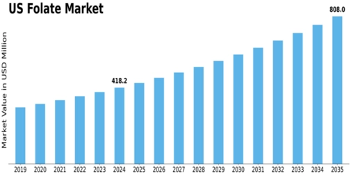 US Folate Market Size