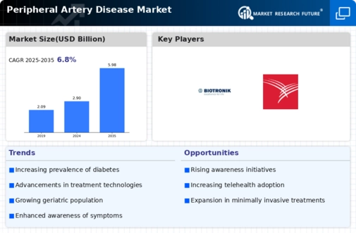 Peripheral Artery Disease Market Research Report - Forecast till 2032 Infographic