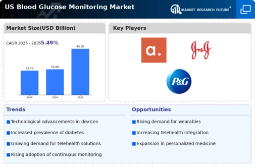 US Blood Glucose Monitoring Market Infographic