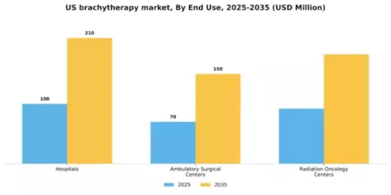 US Brachytherapy Market Segment Image 1