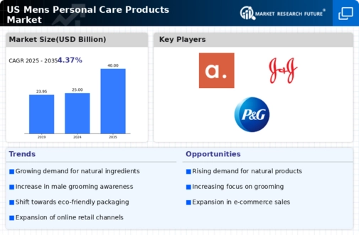 US Mens Personal Care Products Market Infographic