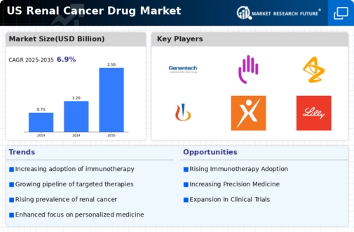 US Renal Cancer Drug Market Infographic