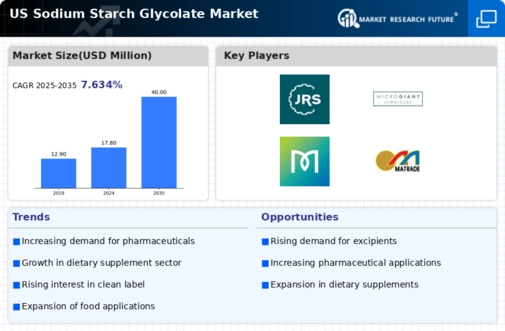 US Sodium Starch Glycolate Market Research Report - Forecast Report 2035 Infographic