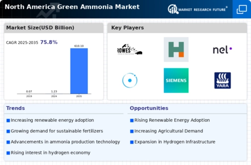 North America Green Ammonia Market Research Report—Forecast till 2034 Infographic