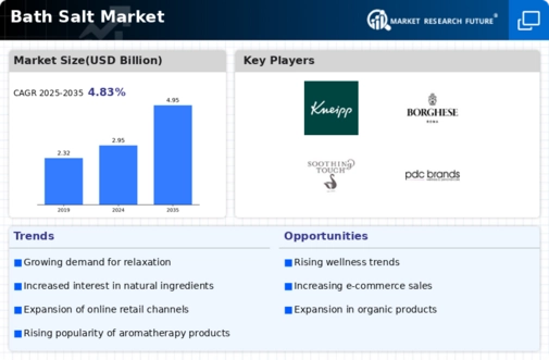Bath Salt Market Research Report - Forecast till 2032 Infographic