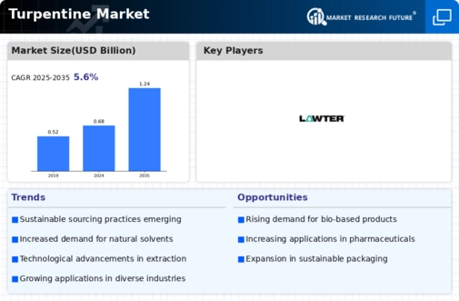 Turpentine Market Research Report - Global Forecast 2034 Infographic