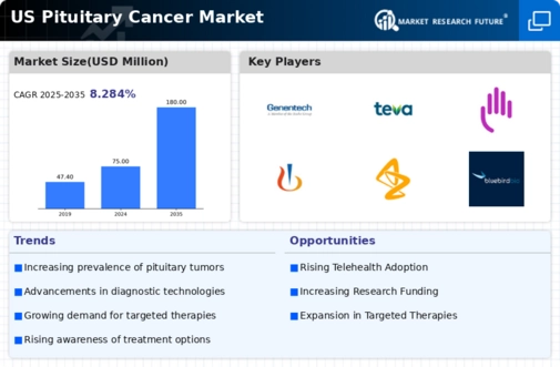 US Pituitary Cancer Market Infographic