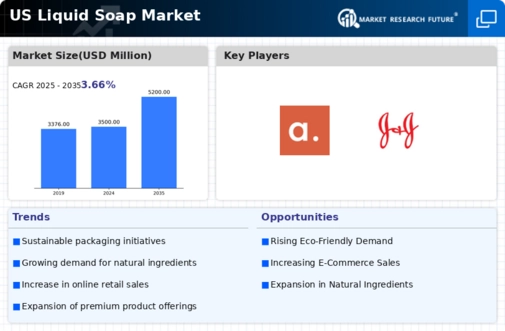 US Liquid Soap Market Research Report - Forecast till 2025 Infographic