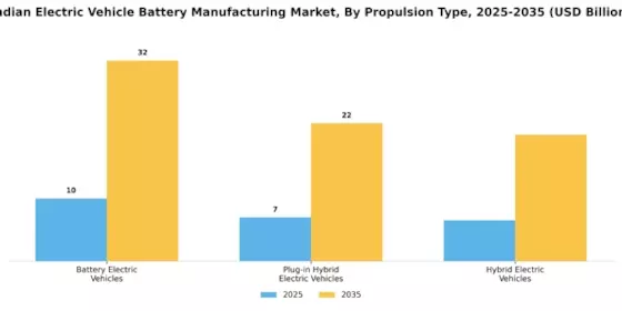 Indian Electric Vehicle Battery Manufacturing Market Segment Image 1
