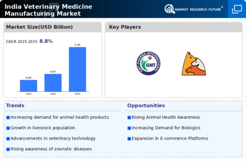 India Veterinary Medicine Manufacturing Market Research Report —Forecast till 2034 Infographic