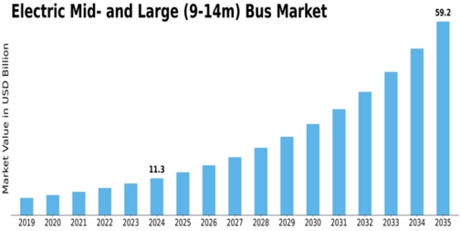 Market Size