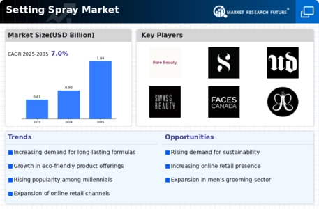 Setting Spray Market Infographic