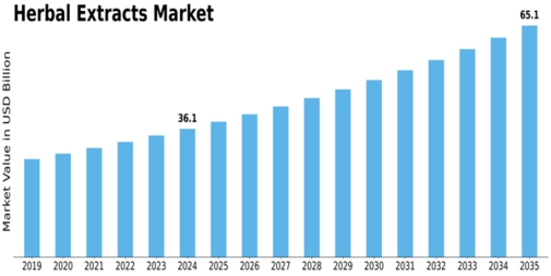 Market Size