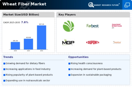 Wheat Fiber Market Infographic