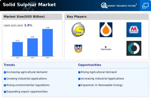 Solid Sulphur Market Research Report - Forecast Till 2034 Infographic