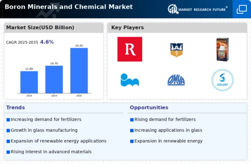 Boron Minerals and Chemical Market Research Report - Global Forecast till 2034 Infographic