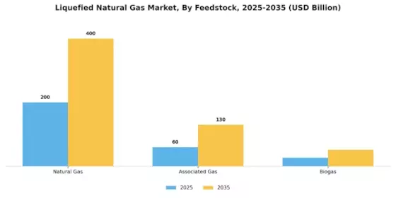 Liquefied Natural Gas Market Segment Image 1