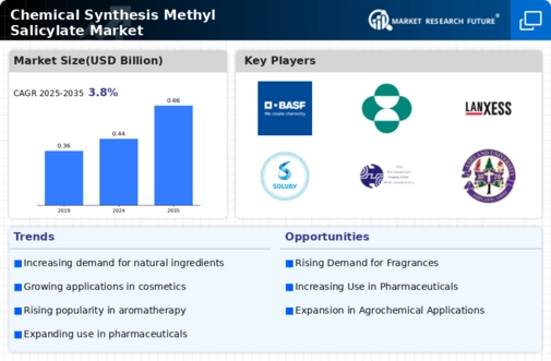 Chemical Synthesis Methyl Salicylate Market Research Report — Global Forecast till 2034 Infographic