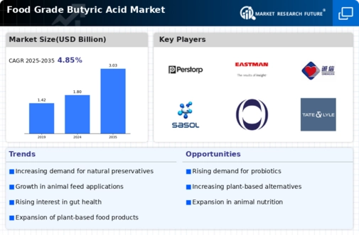 Food Grade Butyric Acid Market Research Report — Global Forecast till 2034 Infographic