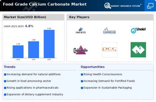 Food Grade Calcium Carbonate Market Research Report Forecast Till 2034 Infographic