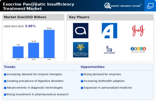 Exocrine Pancreatic Insufficiency Treatment Market Research Report — Global Forecast till 2034 Infographic