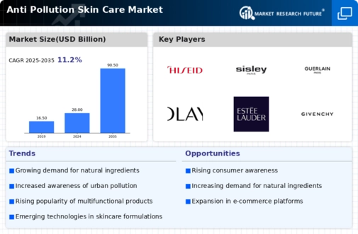 Anti Pollution Skin Care Market Research Report — Global Forecast till 2034 Infographic