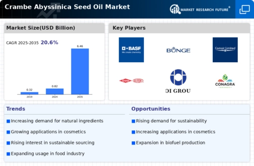 Crambe Abyssinica Seed Oil Market Research Report - Global Forecast till 2034 Infographic